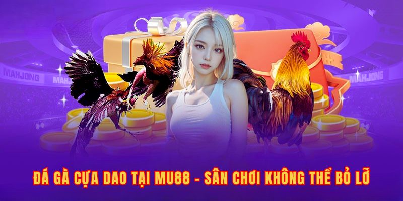 đá gà cựa dao tại mu88