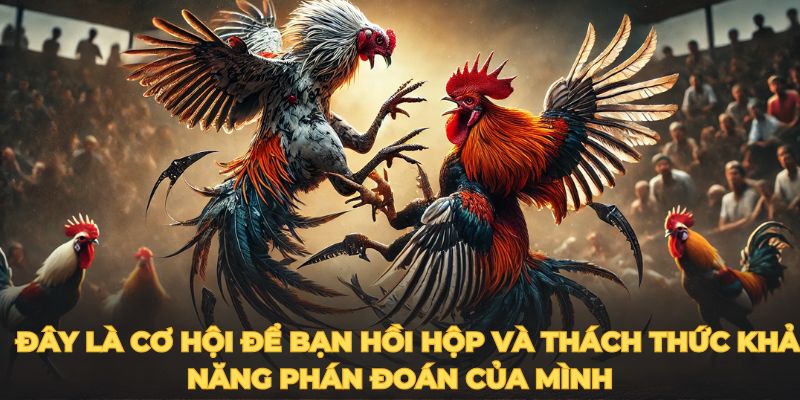 Đây là cơ hội để bạn hồi hộp và thách thức khả năng phán đoán của mình