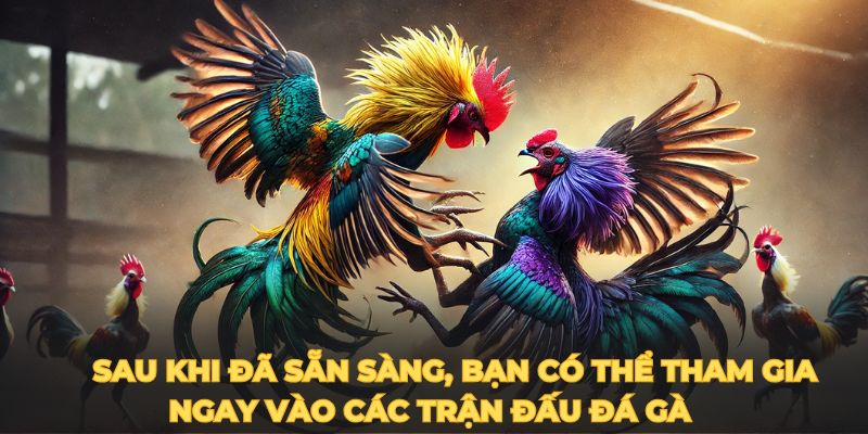   Gà cựa sắt đòi hỏi người chơi nên có cho mình kinh nghiệm để có thể chiến thắng